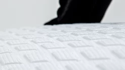 FANATIC Windsurf Board Mamba TE - Boards 2022 - 78 -Surfen Und Kitesurfen Geschäft footpad f20 studio klaas 269a0503